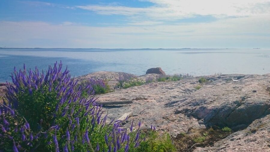 Turku Archipelago: Sea Kayaking Day Tour - Key points to know before you paddle