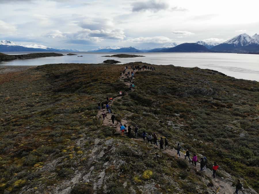 Ushuaia: Beagle Channel, Seal Island & Bridges Islands Tour - Bird Island and the Black-browed Albatross