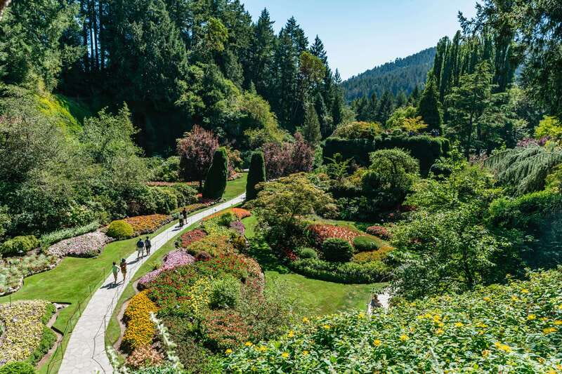 Vancouver: Victoria, Gulf Islands Cruise, & Butchart Gardens - The drive into Victoria and the Chinatown glimpse