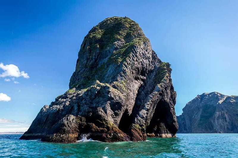 Vestmannaeyjar: One Hour Small Islands Trip - Why this short RIB trip works so well