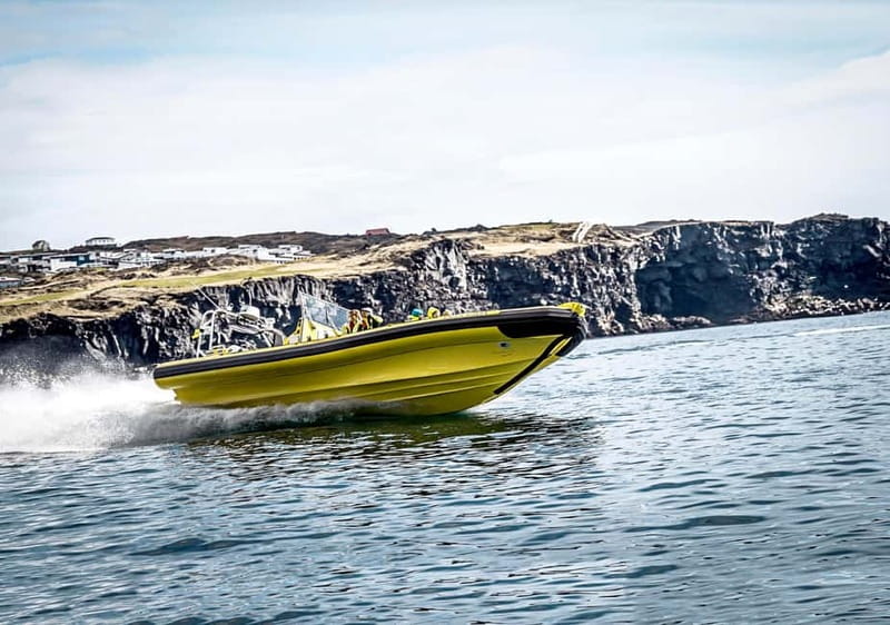 Vestmannaeyjar: One Hour Small Islands Trip - Keeping watch for whales and seals
