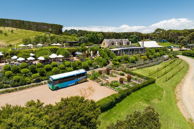 Waiheke Island Hop-On Hop-Off Explorer Bus - Start at Matiatia, and sort the ferry first