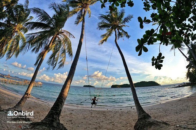 [Water Bus] 4 Islands: May Rut - Mong Tay - Gam Ghi - Pineapple - How the Fishing Reports Affect Your Decision