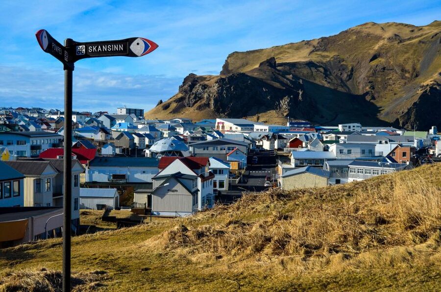 Westman Islands Day Tour from Reykjavik - A private guide who can change the plan