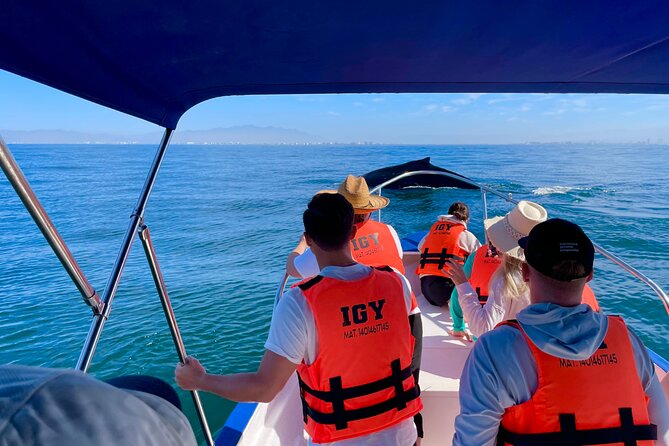 Whale Watching and Los Arcos 5 Islands Adventure - Searching Banderas Bay for humpback whales