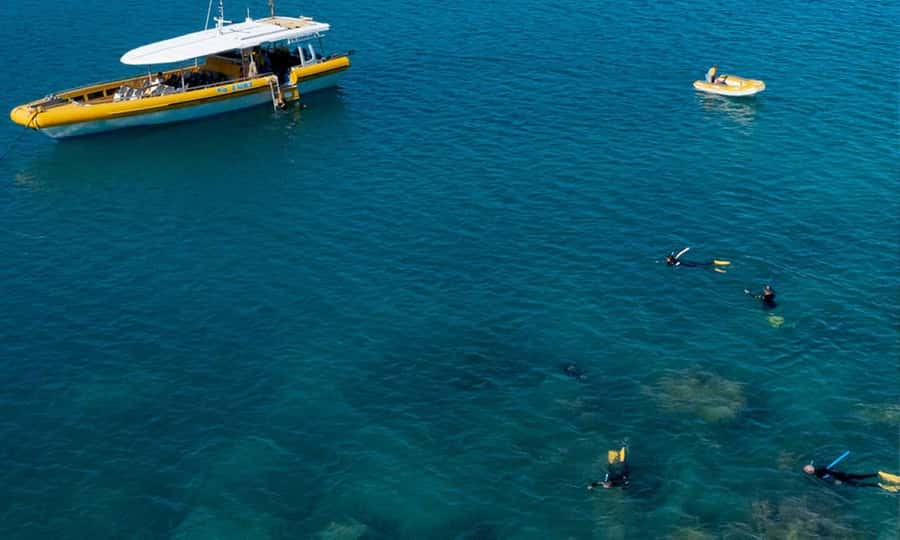 Whitsunday: Whitsunday Islands Tour with Snorkeling & Lunch - Whitehaven Beach and the picnic lunch
