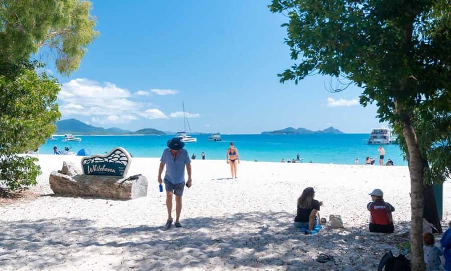 Whitsunday: Whitsunday Islands Tour with Snorkeling & Lunch - Whale watching from July through September