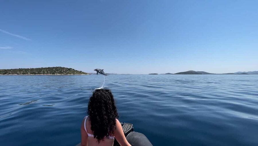 Zadar: 3-Island Speedboat Tour with Snorkeling and Drinks - Ošljak: swimming, walking, and a little exercise