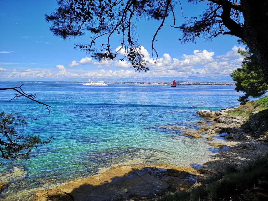 Zadar: 3 Islands Speedboat Tour with Drinks and Diving - Who will enjoy this tour most