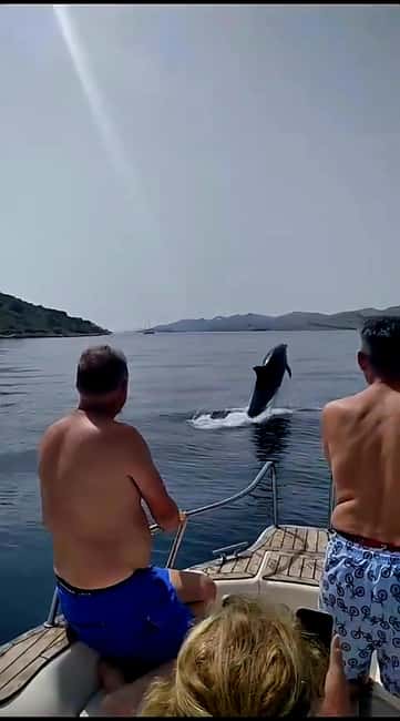 Zadar: Adventure on 6 islands, 3 lagoons, 1 cave, Bio Fruits - Three lagoons made for swimming
