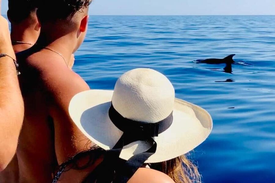 Zadar: Island-Hopping, Swimming & Snorkeling SpeedBoat Tour - What the $51 price really covers