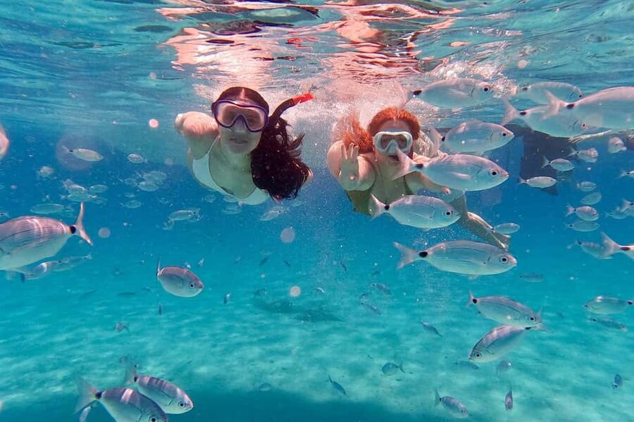 Zadar: Island-Hopping, Swimming & Snorkeling SpeedBoat Tour - The first swim near Ugljan