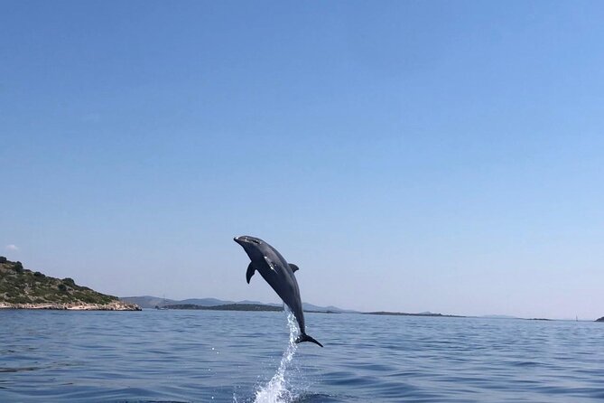 Zadar: Island Luxury Speedboat Tour with Snorkeling - The speedboat is part of the attraction