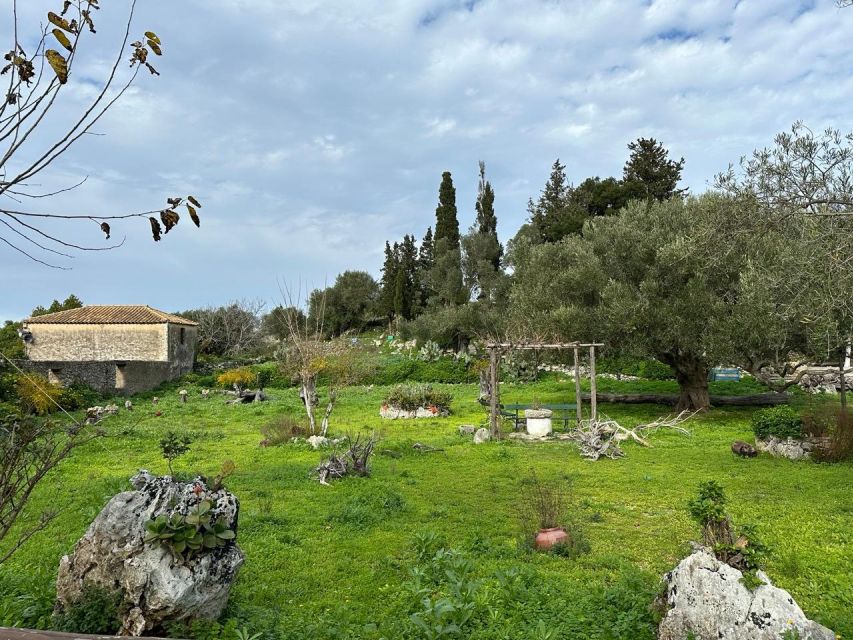 Zakynthos Premium 4x4 Island Experience - Exo Hora and Zakynthos olive oil