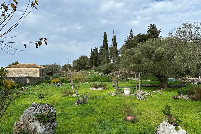 Zakynthos Premium 4x4 Island Experience - Comfort, group size, and who should skip it